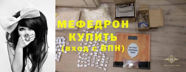 мдпв Бородино