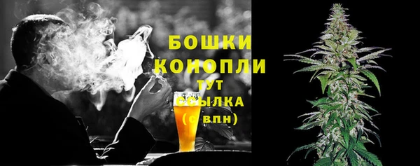 мдпв Бородино