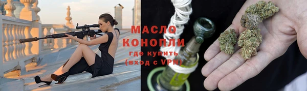 мдпв Бородино
