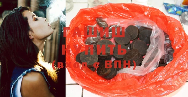 мдпв Бородино