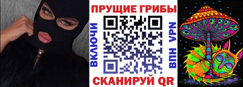 Купить закладки  Дегтярск  Псилоцибиновые грибы Psilocybe 